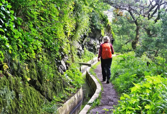 Levada de Canical. Foto Lene Bach Larsen