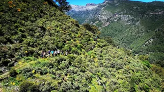 Området omkring Ronda byder på et væld af gode vandreruter. Foto Pia Bruun