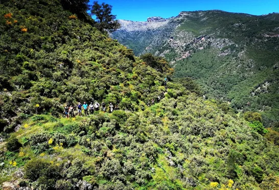 Området omkring Ronda byder på et væld af gode vandreruter. Foto Pia Bruun