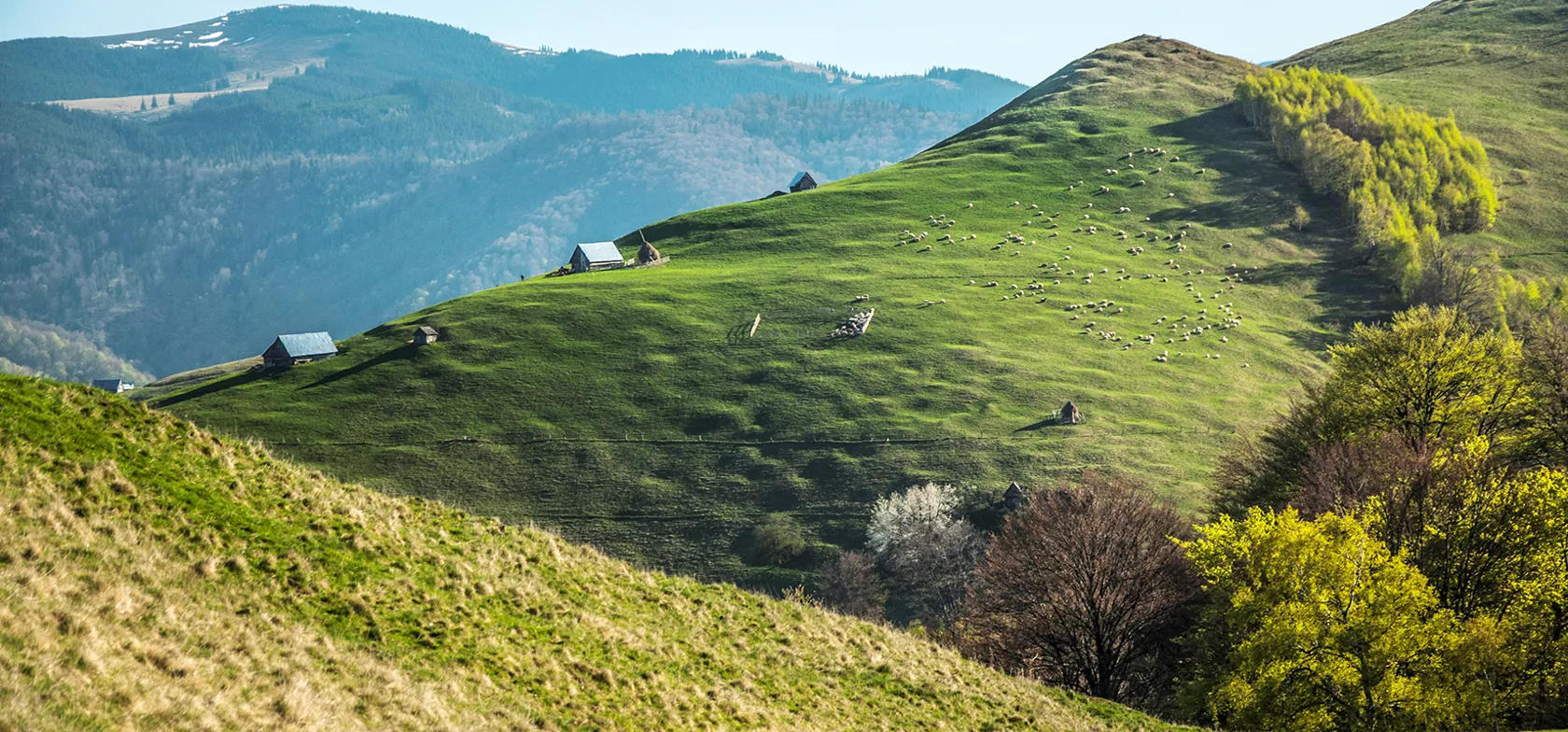 Smukt landskab i Rumænien. Foto Carmen Vele