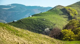 Smukt landskab i Rumænien. Foto Carmen Vele