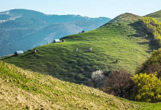 Smukt landskab i Rumænien. Foto Carmen Vele