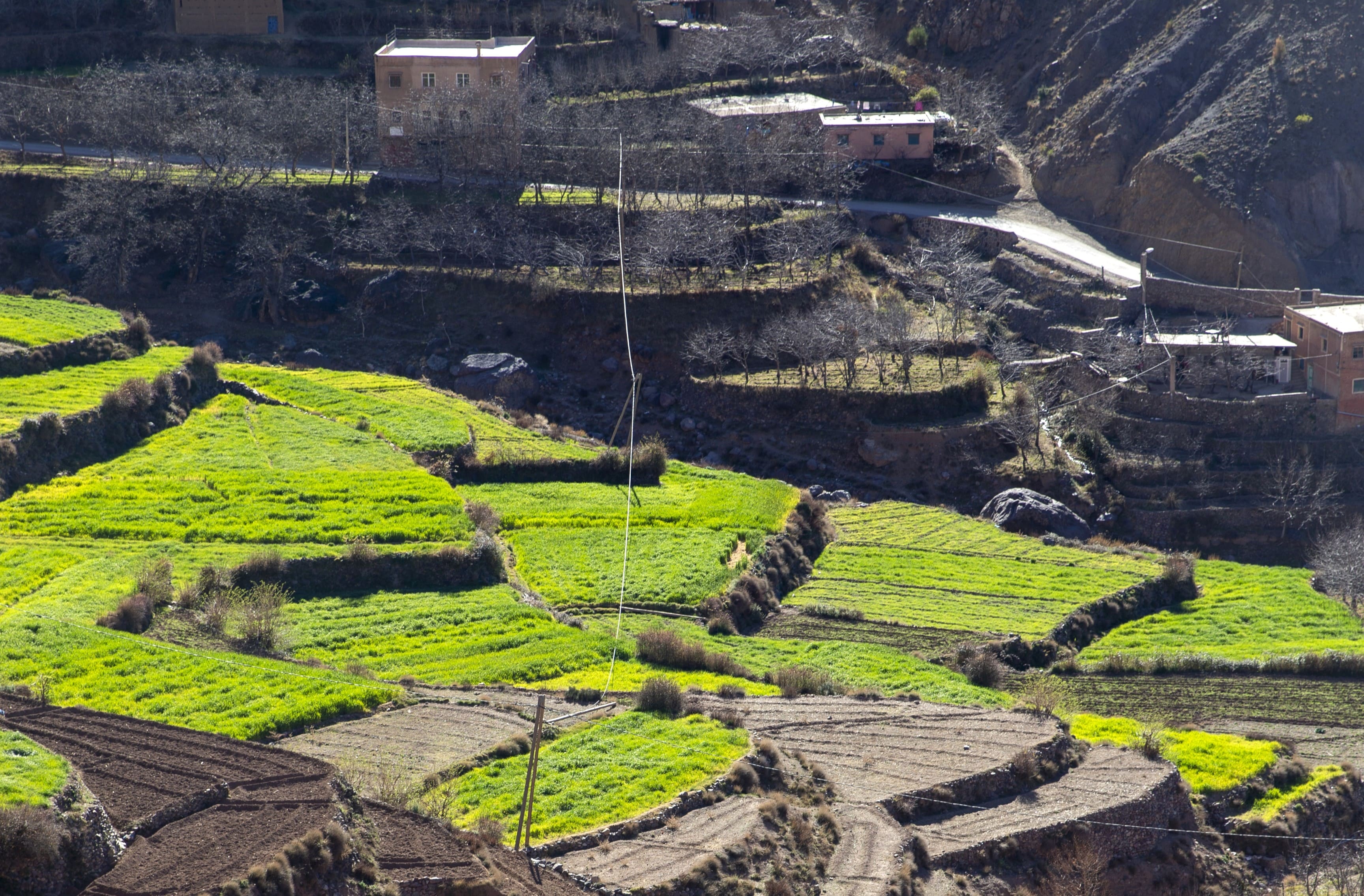 Imlil er en berberlandsby med lerklinede huse og landbrugsterrasser. Foto Viktors Farmor