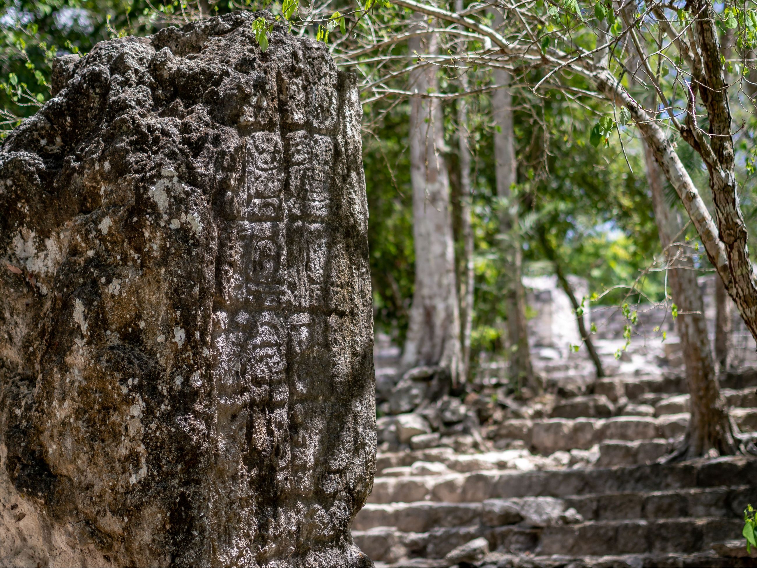 Ruiner og steler ligger spredt rundt i regnskoven ved Calakmul. Foto Viktors Farmor