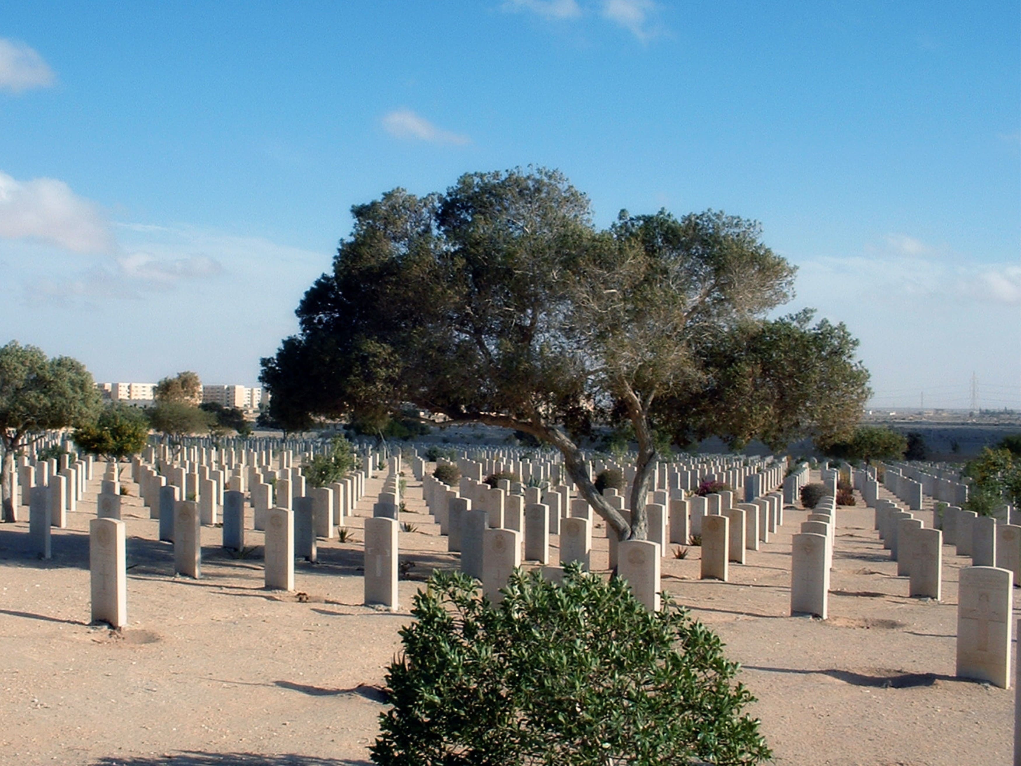 De faldne mindes på krigskirkengården fra Anden Verdenskrig ved El Alamein. Foto Viktors Farmor