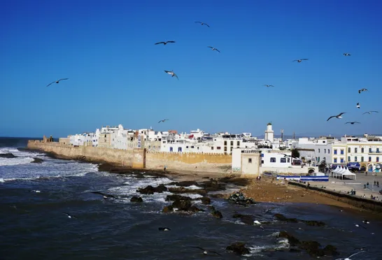 Essaouiras charme er en blanding af pittoresk fiskerlandsby og kølig elegance. Foto Kathrine Svejstrup