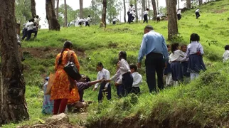 Plant et træ i Himalaya. Foto Viktors Farmor