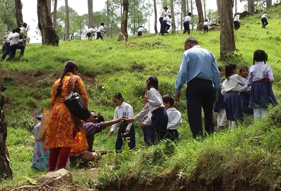 Plant et træ i Himalaya. Foto Viktors Farmor