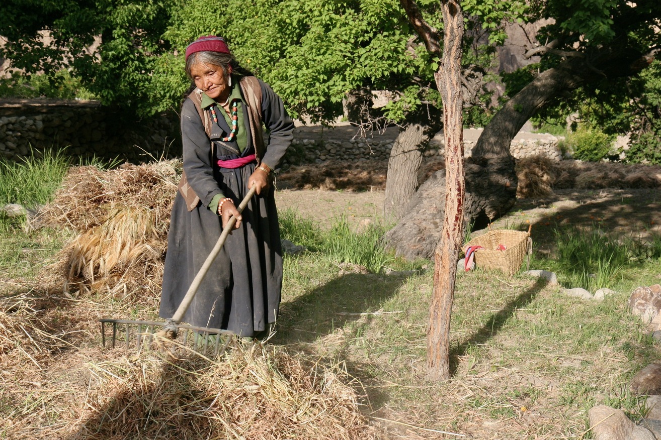 Jorden plejes på traditionel vis i de små landsbyer. Foto Finn Hansen
