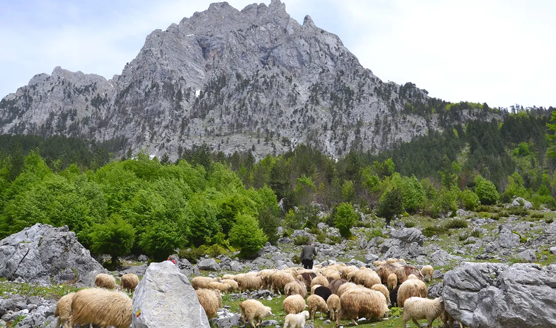 Valbonëdalen er et af de mest naturskønne og uspolerede bjergområder i det nordlige Albanien. Foto Gert Lynge Sørensen