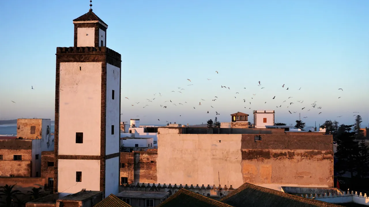 Udsigt over Essaouira. Foto Kathrine Svejstrup