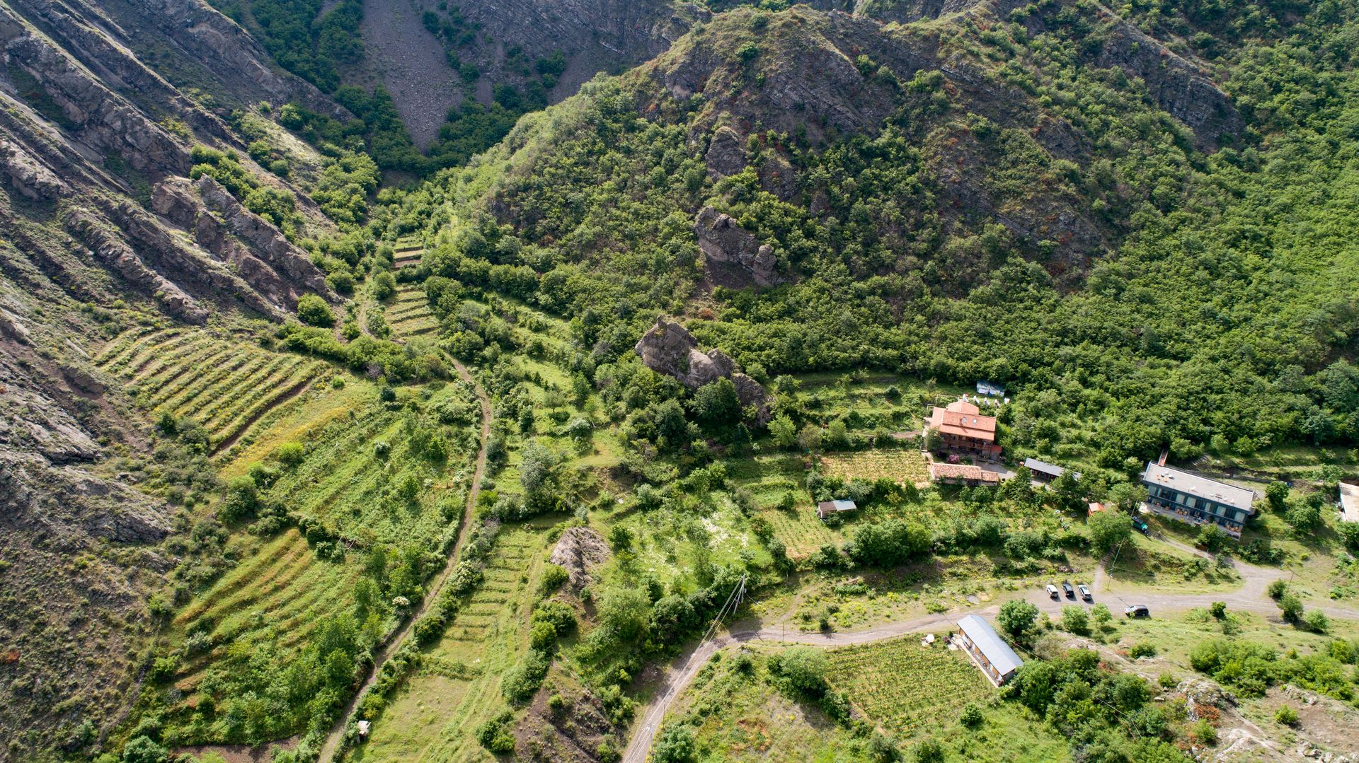 Atenuri vingård i Georgen (1)