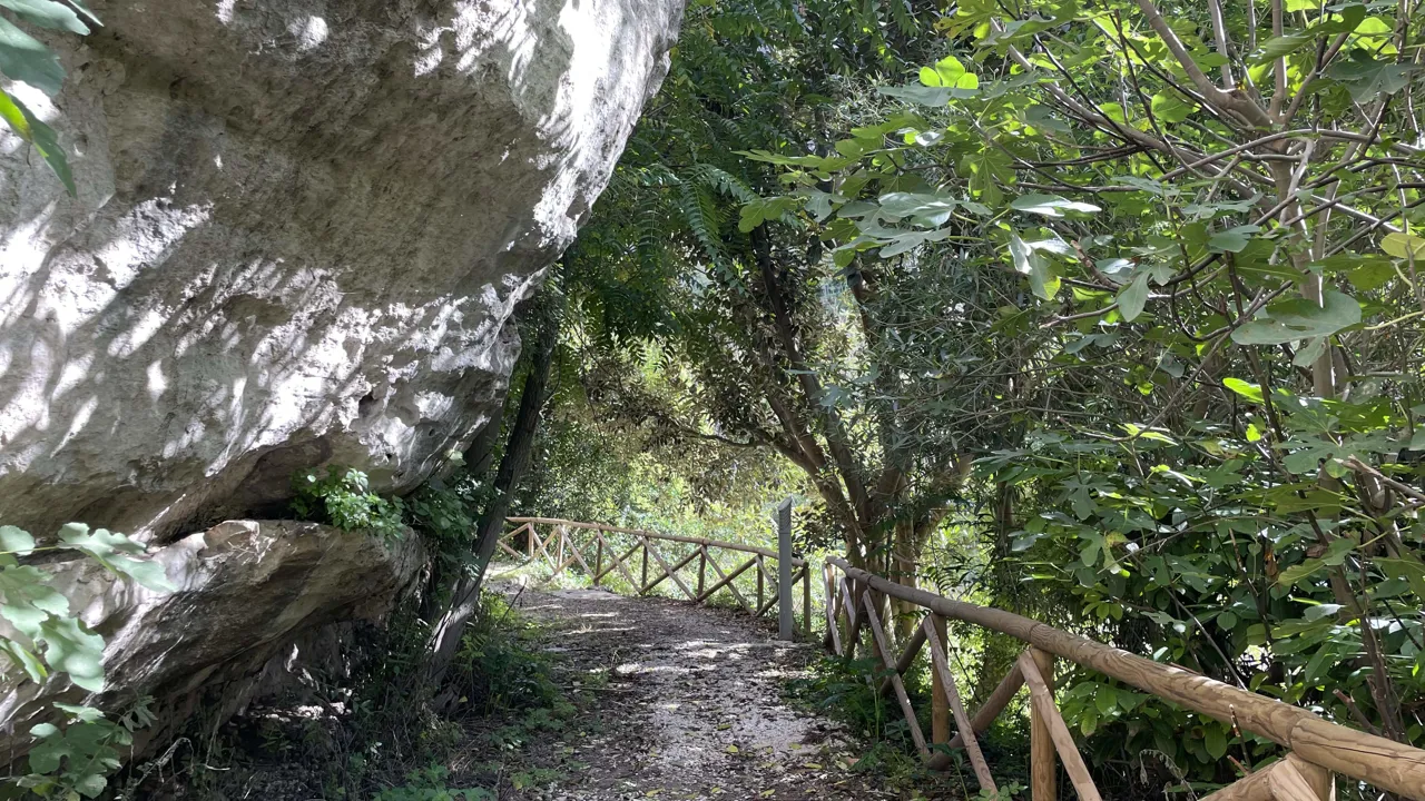 På vores vandring gennem Ragusa, kommer vi også gennem smukke grønne omgivelser. Foto Henriette Jensen