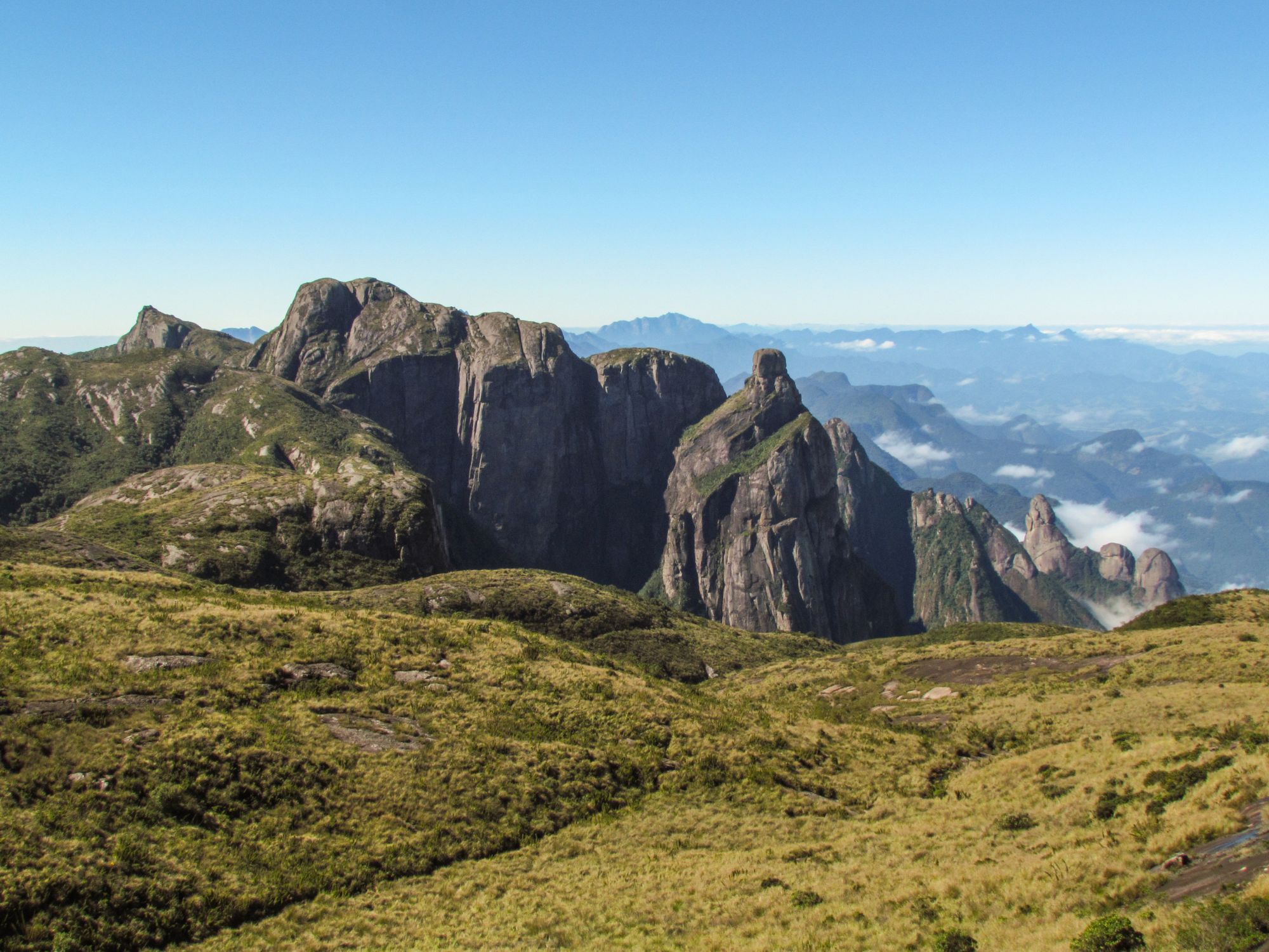 Tijuca nationalpark med Corcovado-bjerget i baggrunde. Foto Viktors Farmor