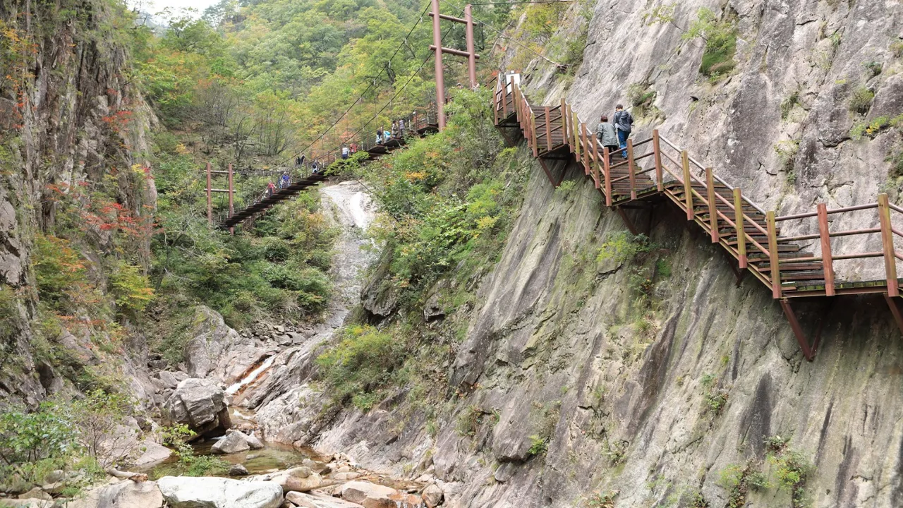 Seoraksan Nationalparken blev i 1982 udpeget som et biosfærereservat af UNESCO. Foto Anders Stoustrup