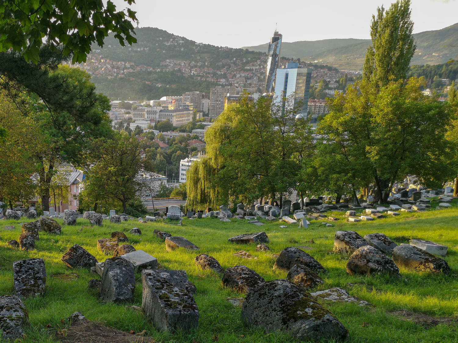 Europas næststørste jødiske gravplads med mere end 3.850 jødiske gravstene. Foto Viktors Farmor