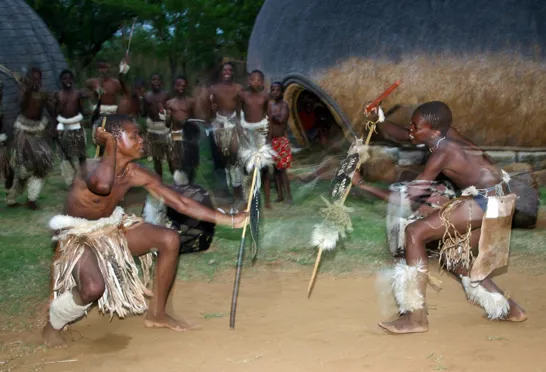 Zuluerne har en lang tradition som gode krigere. Foto Ron Porter