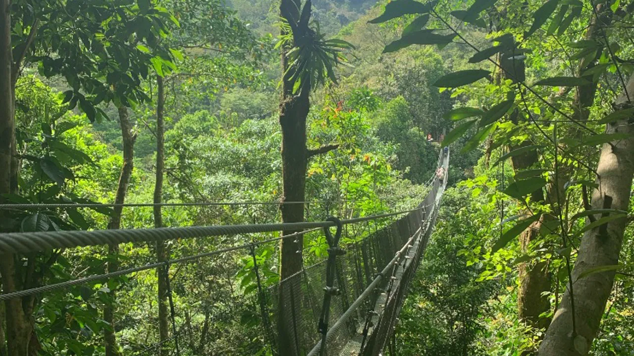 Den lange hængebro ved det lille isolerede samfund Los Campesinos, som vi kommer forbi. Foto Josefine Aude Raas