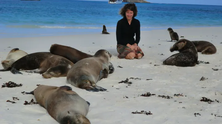 Viktors Farmors rejseleder Anna-Karin Holst Johannsen i nærkontakt med de lokale sæler på Galapagos