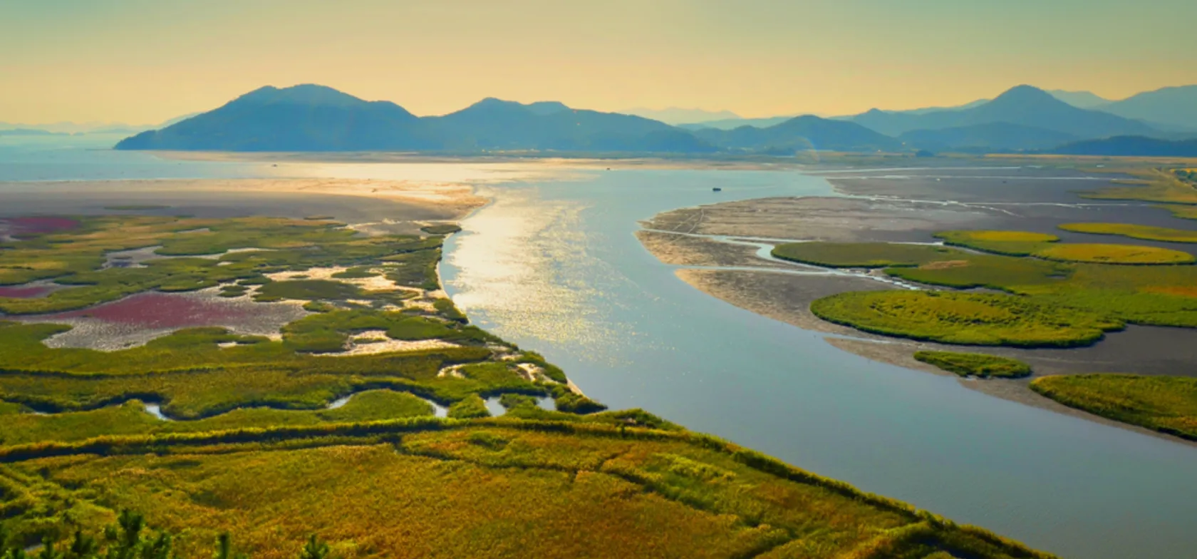 Vådområderne ved Suncheon Bay i Sydkorea. Foto Viktors Farmor