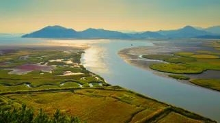 Vådområderne ved Suncheon Bay i Sydkorea. Foto Viktors Farmor