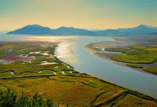 Vådområderne ved Suncheon Bay i Sydkorea. Foto Viktors Farmor