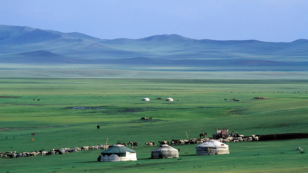 Steppernes sjæl er nomaderne, deres ger og husdyr, som findes spredt ud over det uendelige grønne steppelandskab. Foto Viktors Farmor