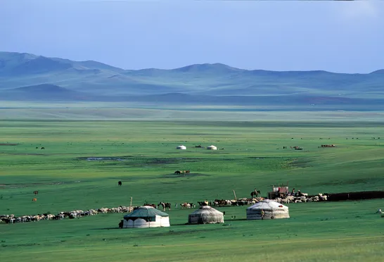 Steppernes sjæl er nomaderne, deres ger og husdyr, som findes spredt ud over det uendelige grønne steppelandskab. Foto Viktors Farmor