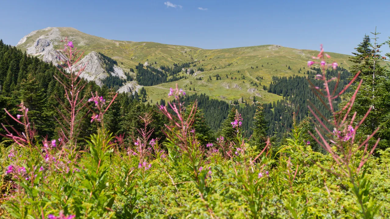 Det dramatiske bjergslot St. Hilarion. Foto Viktors Farmor