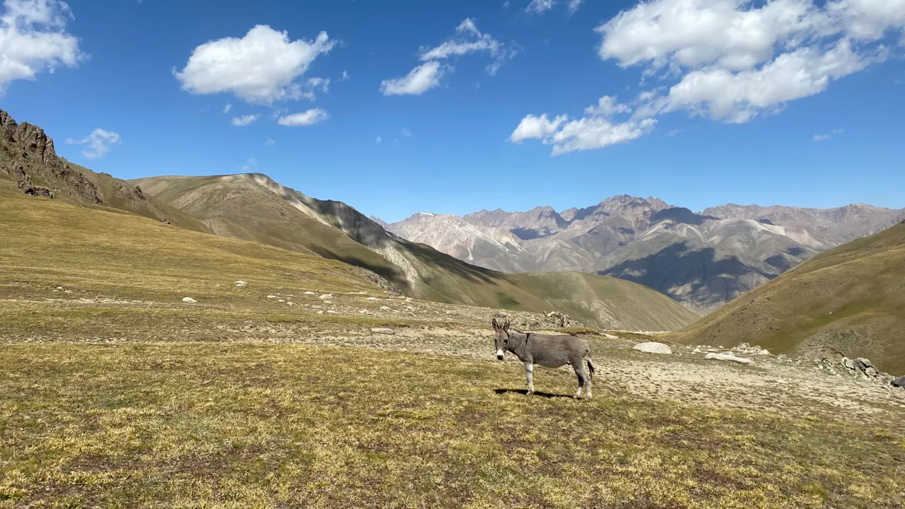Kirgisistans storslåede natur. Foto Michael Høeg Andersen