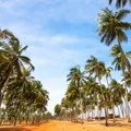 Benin