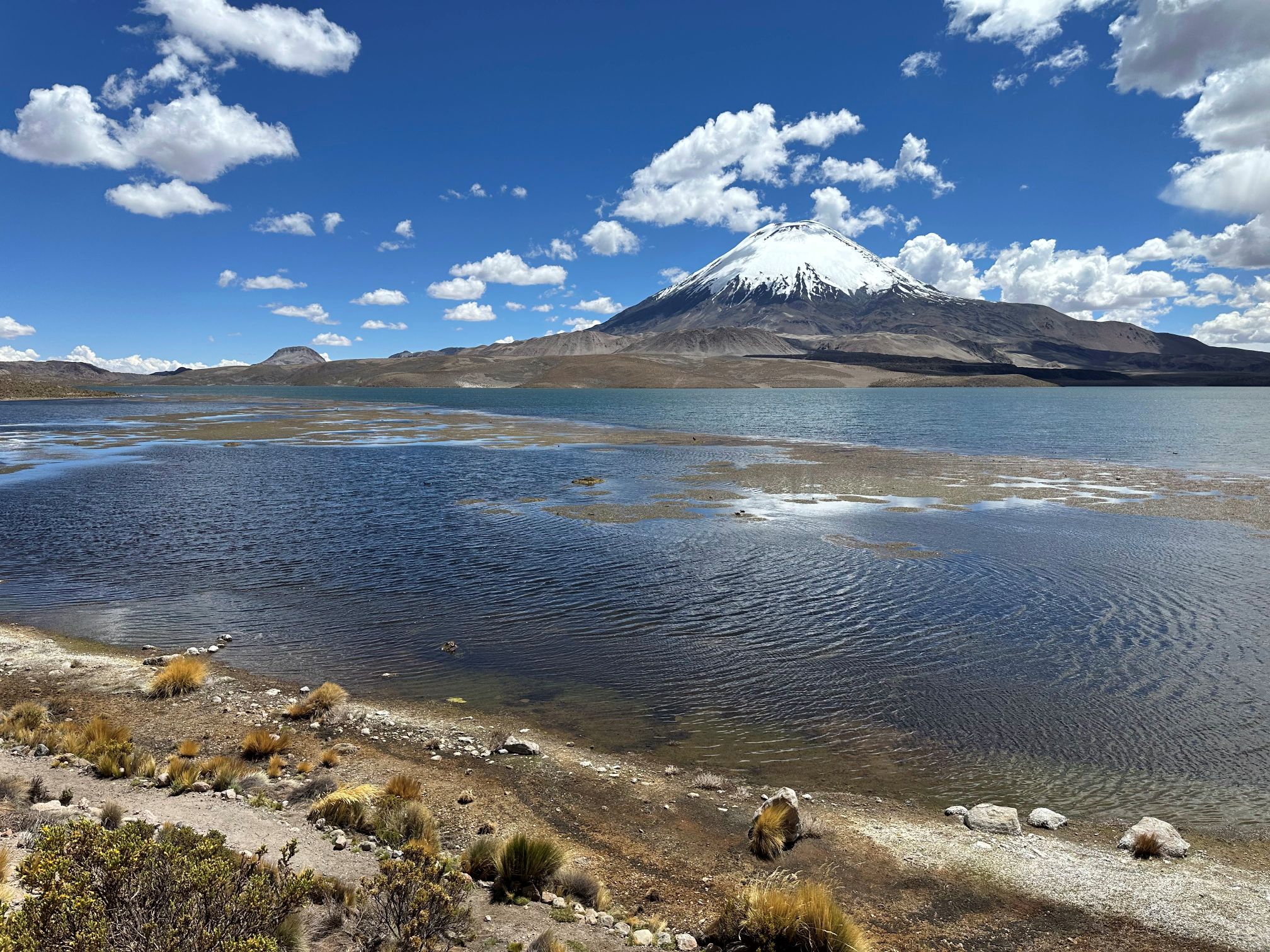 Chungará-søen med vulkanen Parinacota i Lauca nationalpark i det nordlige Chile. Foto Ib Larsen
