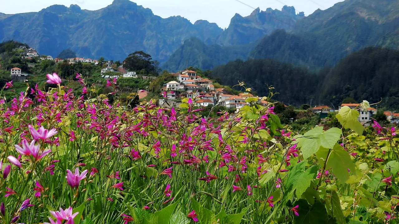 To tredjedele af Madeiras uspolerede natur er udlagt som beskyttet. Foto Lene Bach Larsen