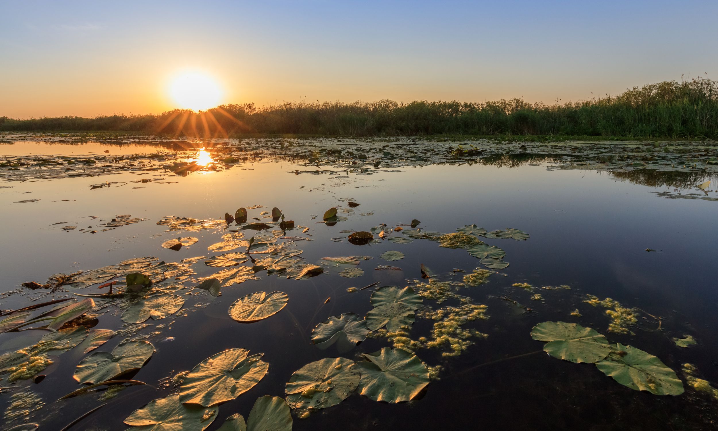 Solnedgang over Donaus delta. Foto Viktors farmor
