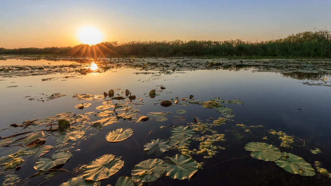 Solnedgang over Donaus delta. Foto Viktors farmor