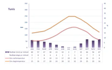 Graf der viser vejret i Tunis i Tunesien over et helt år