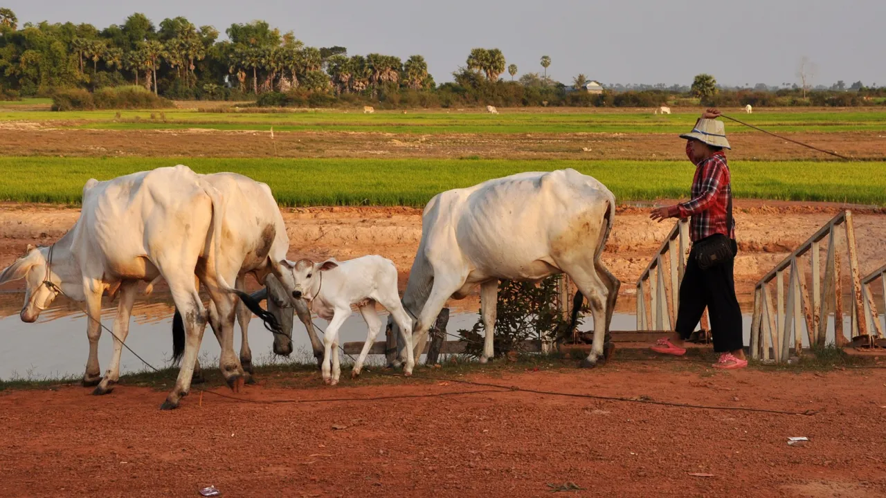 Vi møder lokalbefolkningen på vores vej. Foto Thorkild Møller