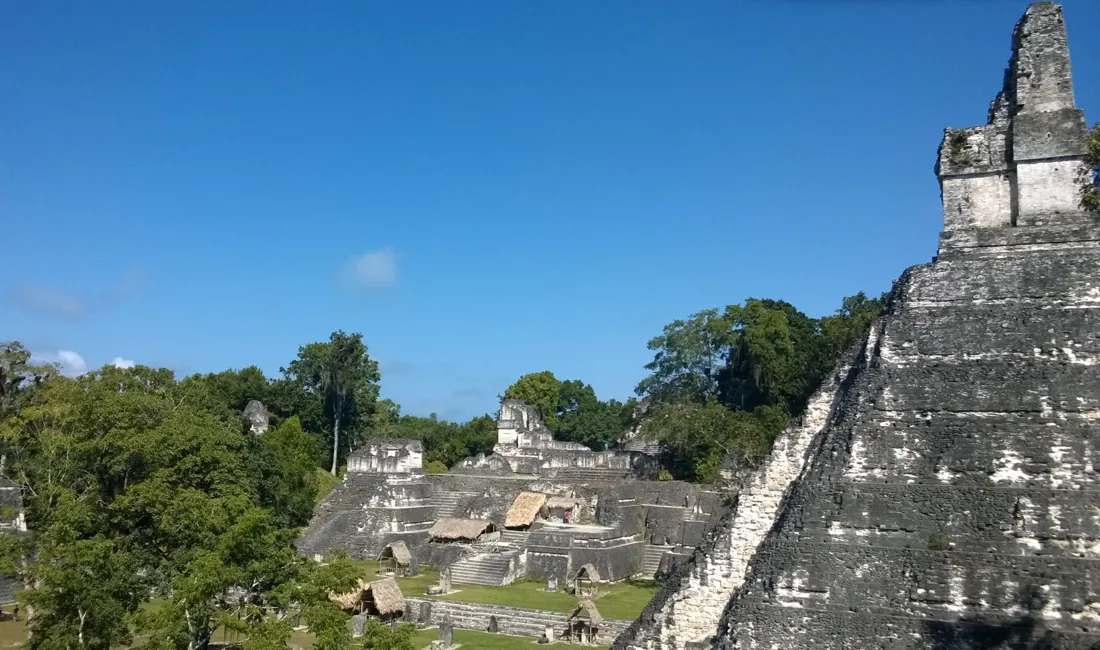 I mayaernes klassiske periode var Tikal en af de mest magtfulde byer. Foto Jens-Arne Sørensen