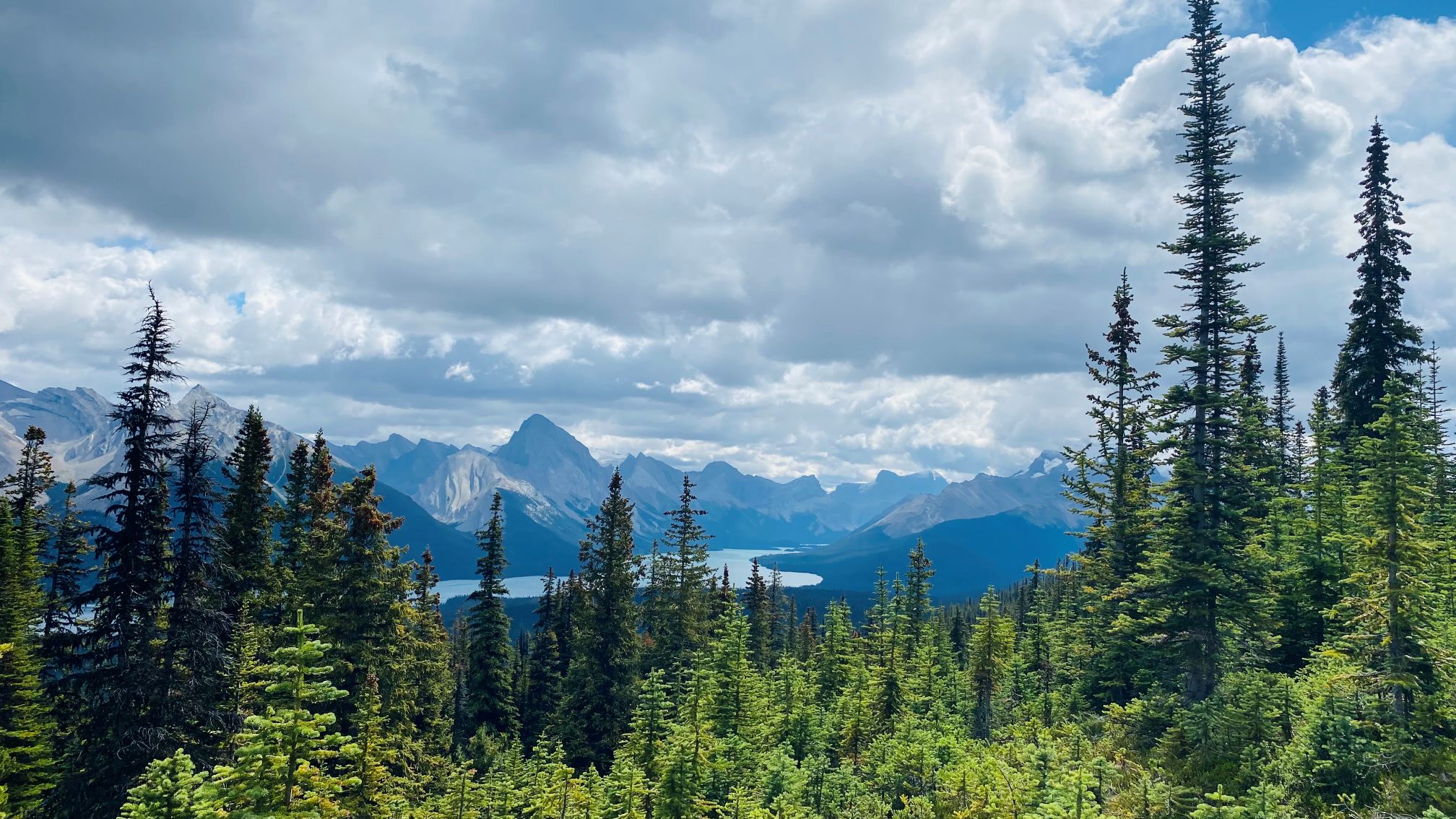 Vi oplever Jasper National Park på rejse rundt i Canada. Foto Maria Kring