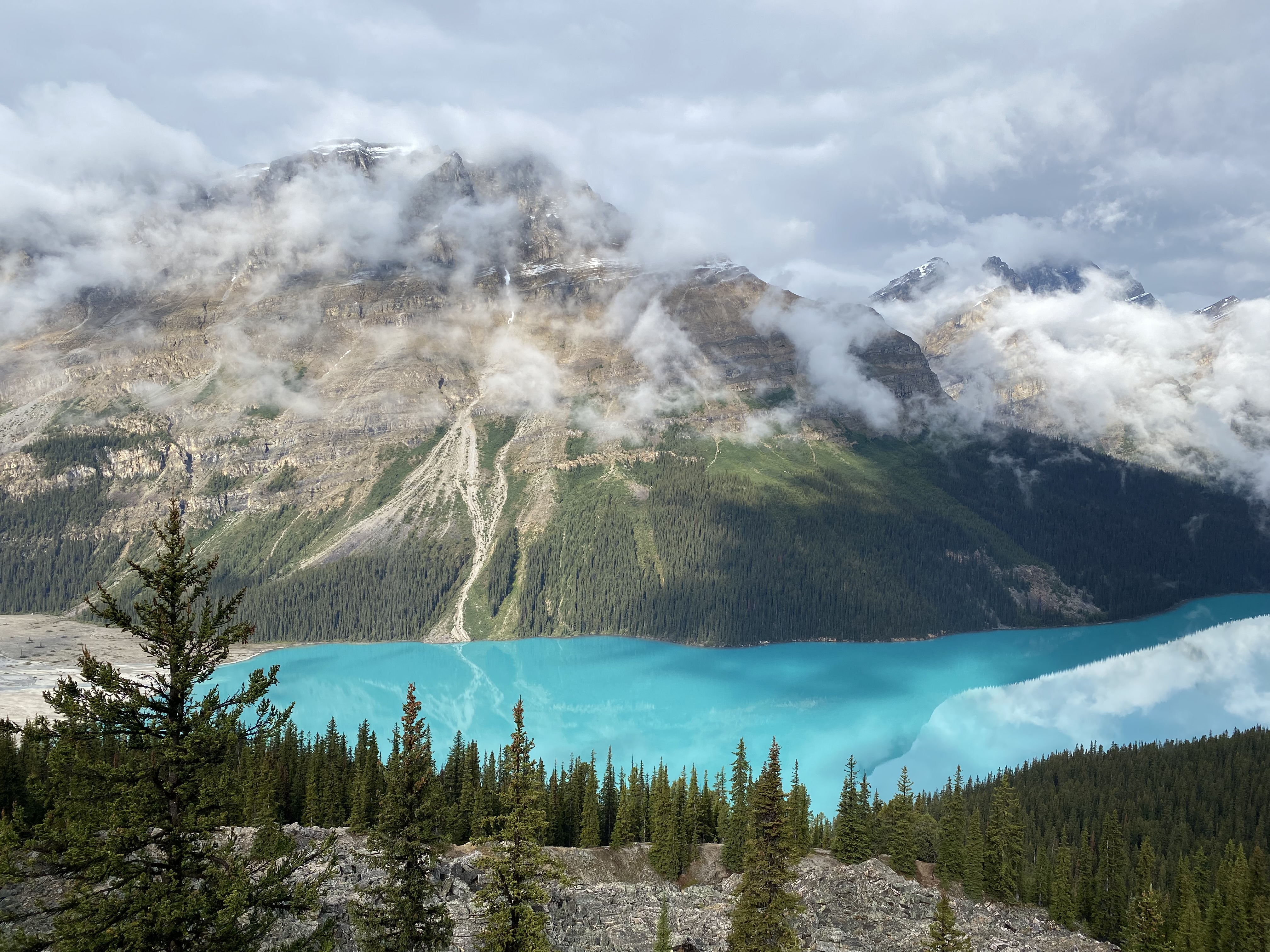 Udsigt til billedskønne Peyto Lake. Foto Maria Kring
