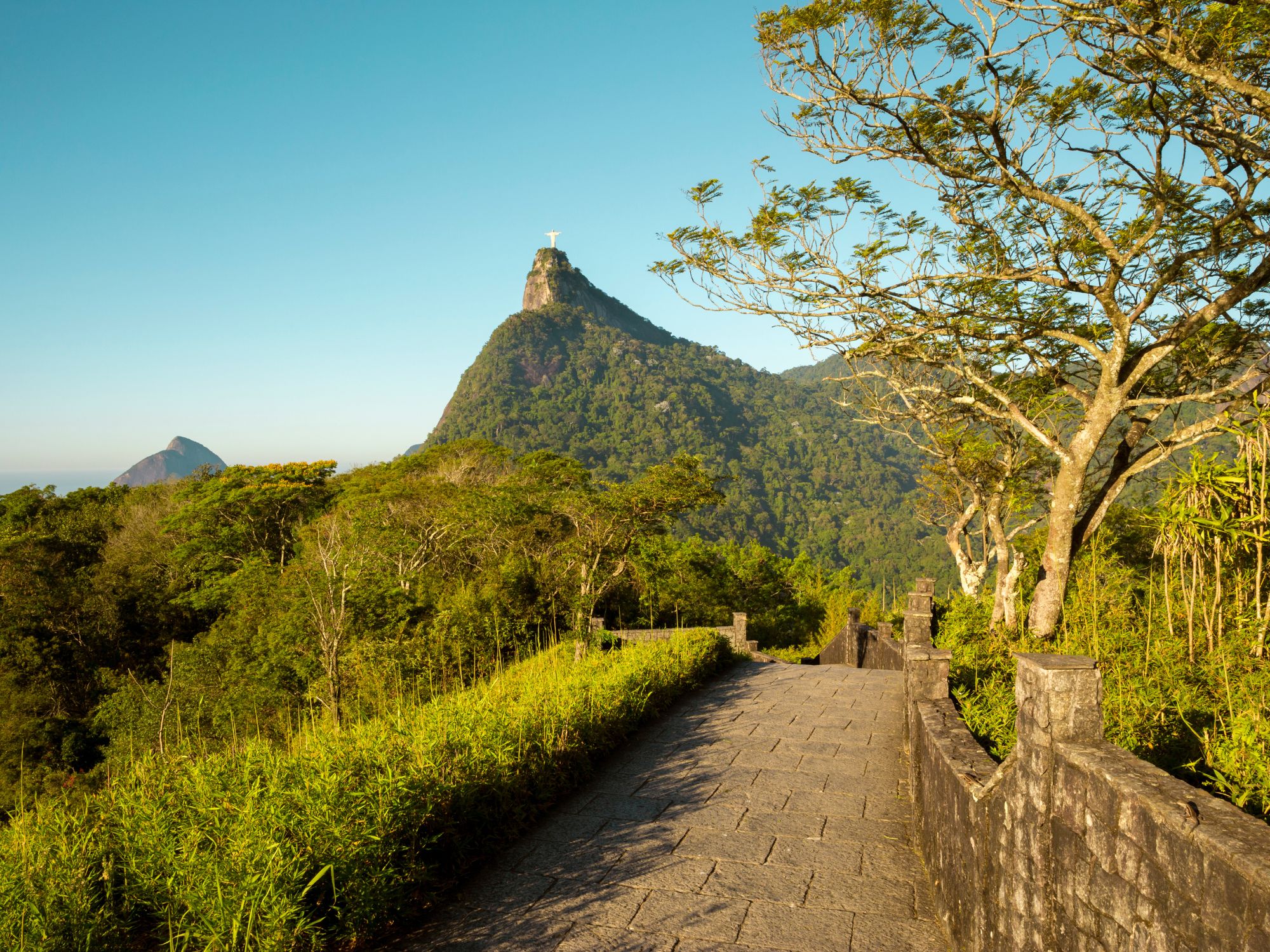 Tijuca nationalpark med Corcovado-bjerget i baggrunde. Foto Viktors Farmor