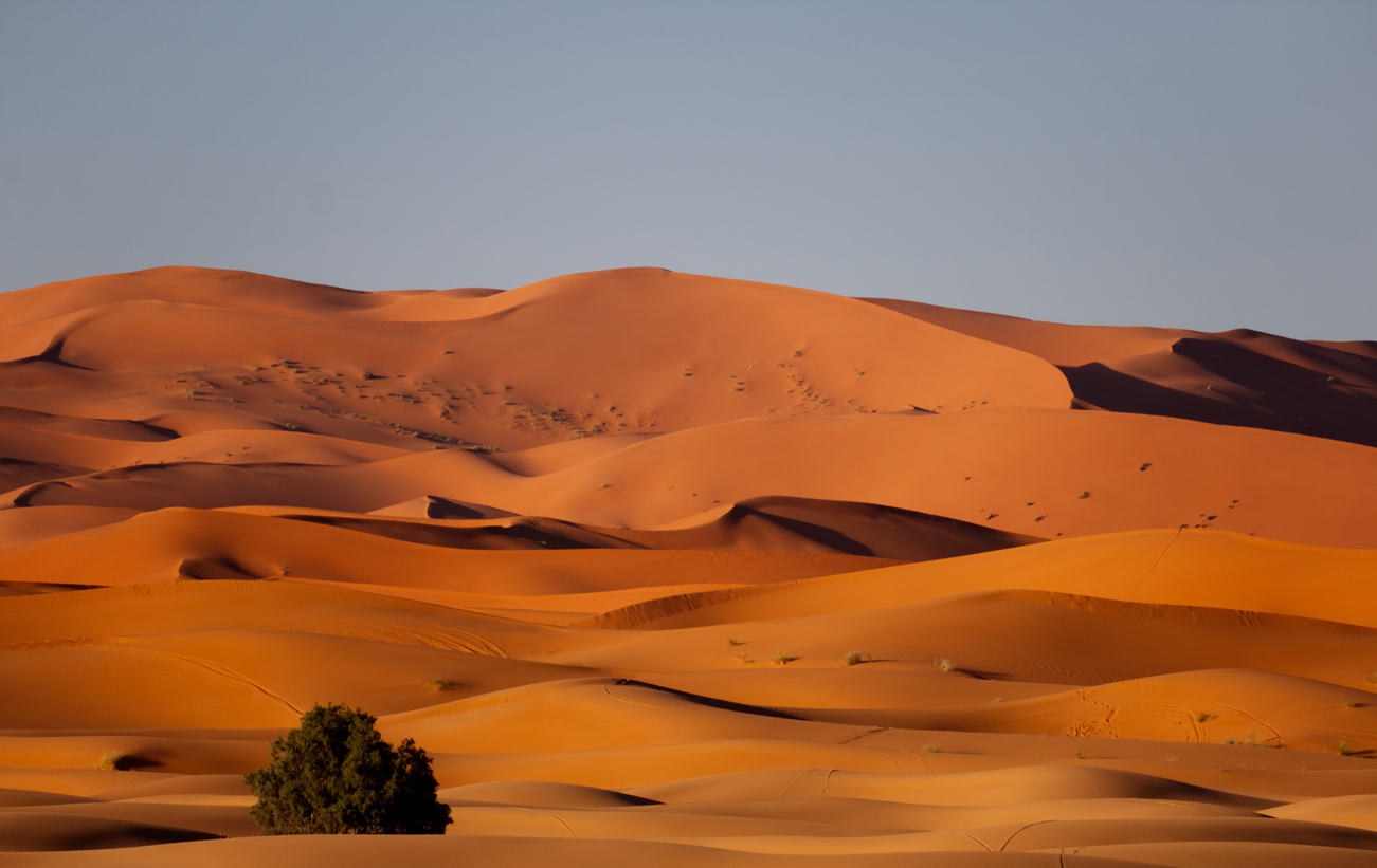 Ørkenen ved Merzouga med de flotte farvenuancer. Foto Camilla Oldenburg