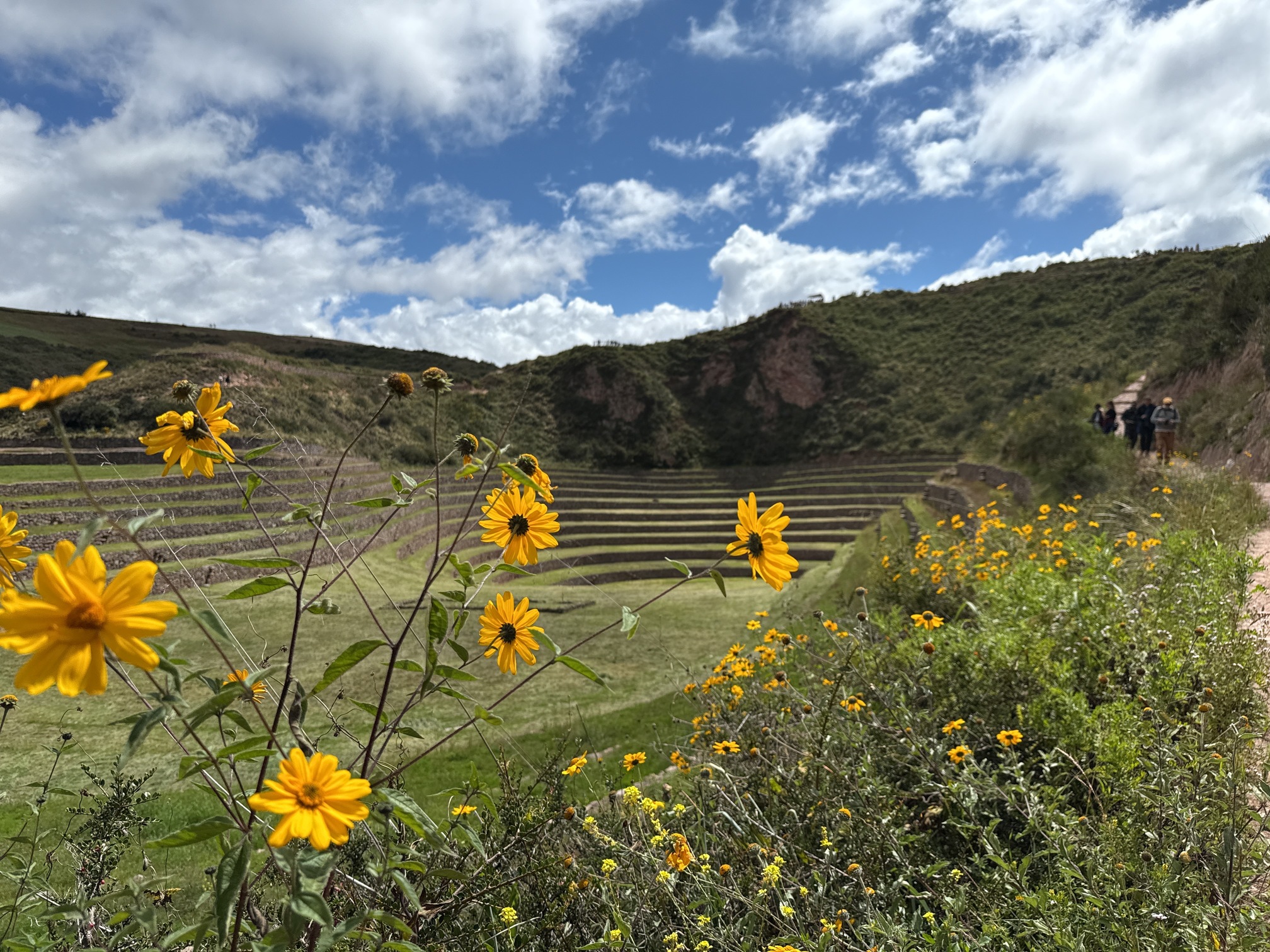 I den hellige dal oplever vi Moray, inkaernes cirkulære landbrugsterrasse. Foto Henriette Jensen