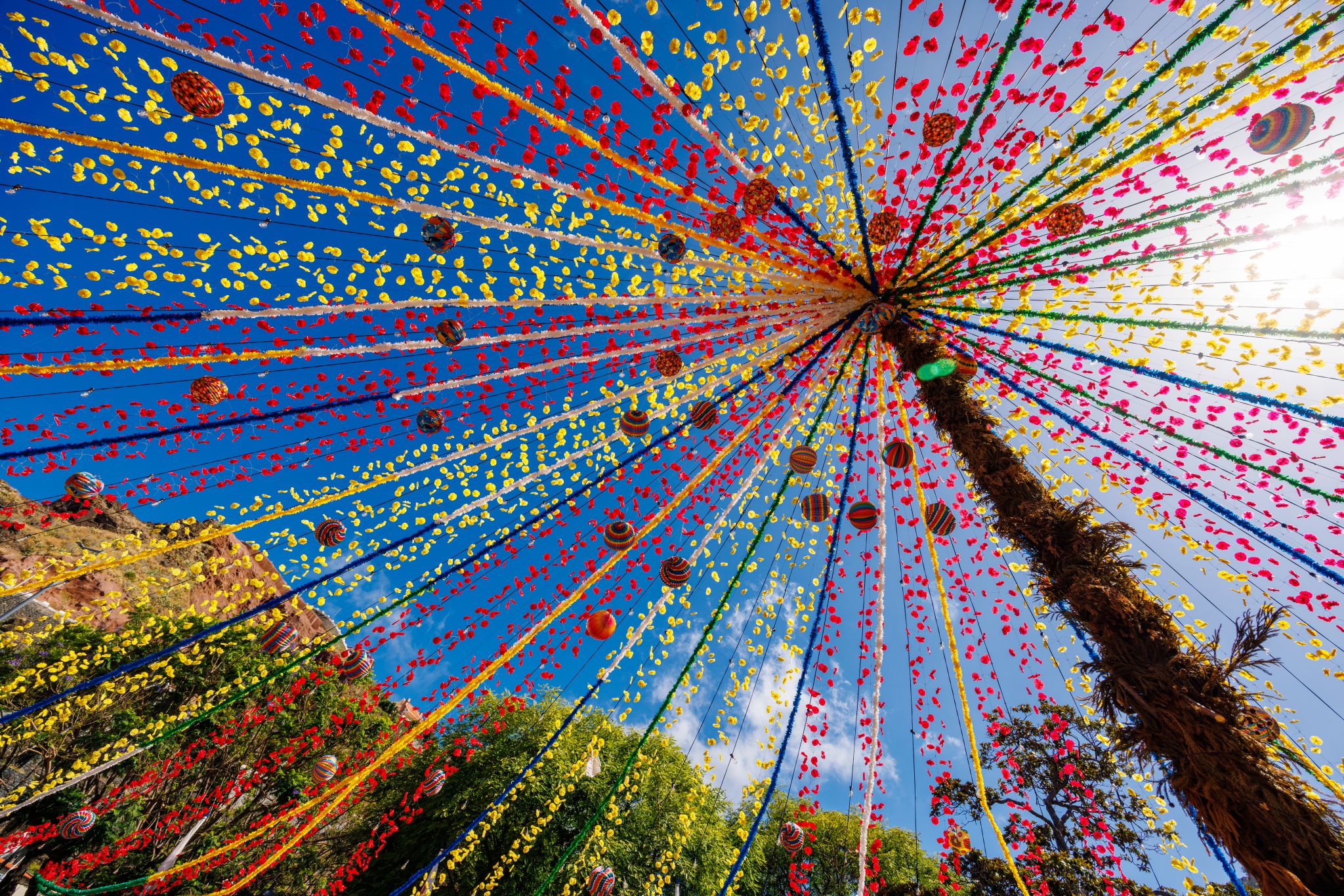 Der er smukt pyntet op til den årlige blomsterfestival på Madeira. Foto Viktors Farmor