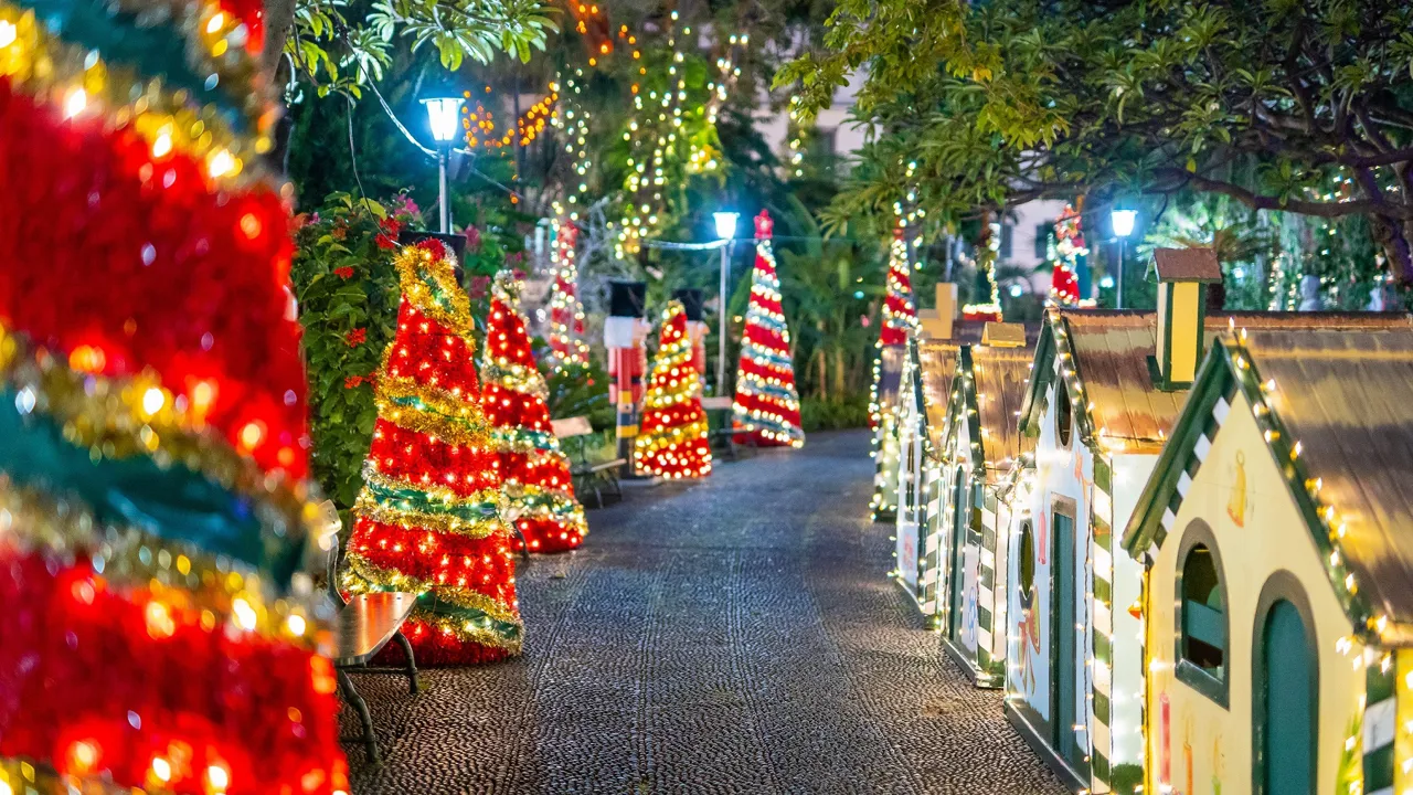 Julerejse på Madeira er noget helt specielt fyldt med udsmykkede gader og stræder. Foto Viktors Farmor