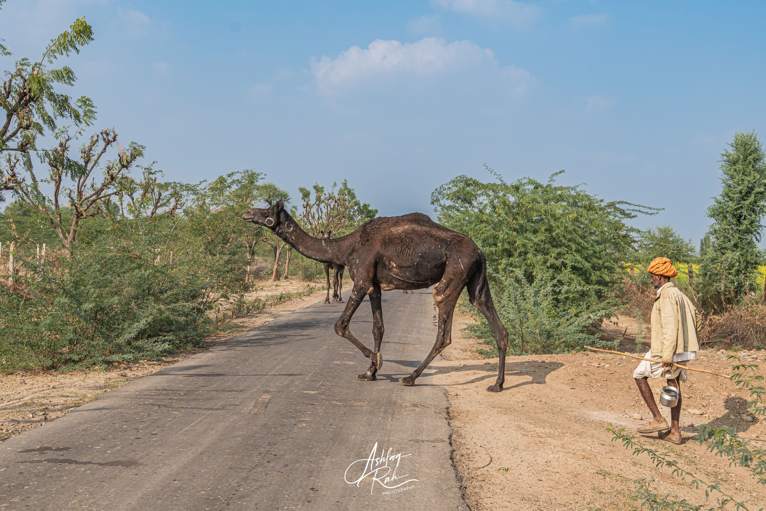 Landsbyliv i Rajasthans halvørken. Foto Ashfaq Rah