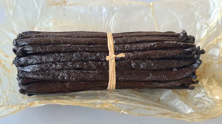 Vanilje i Madagaskar kaldes " Det sorte guld" og udgør 20% af landets eksport. Foto Claus Christensen