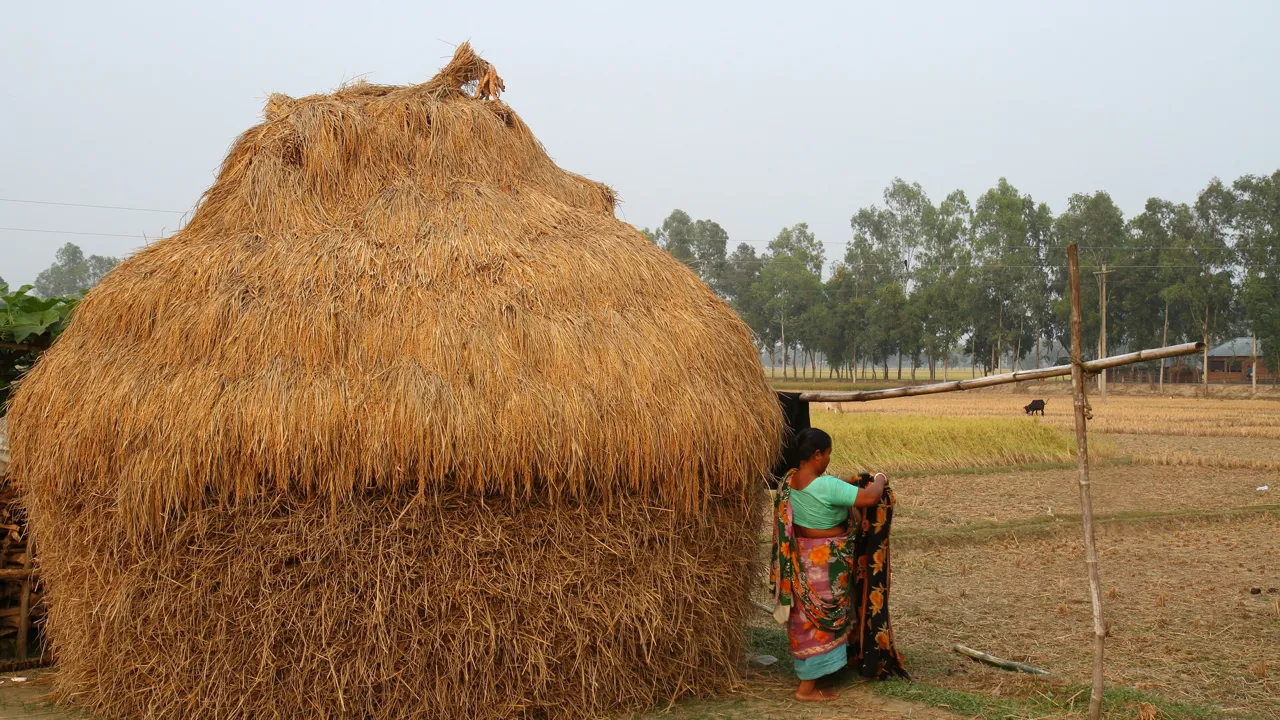 Livet på landet. Foto Finn Ladefoged Hansen