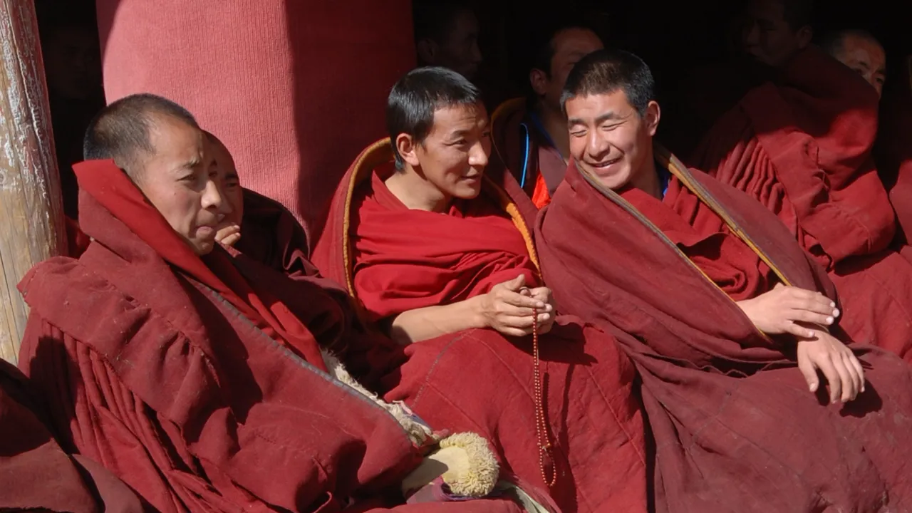 Munkene hygger sig i solen. Foto Ulla Dons