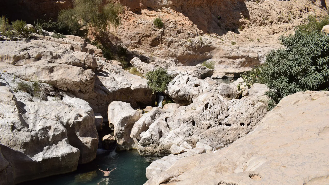I Wadi Bani Khalid kommer både lokale og turister for en svømmetur i det krystalklare vand. Foto Anne Sophie Meyer Larsen